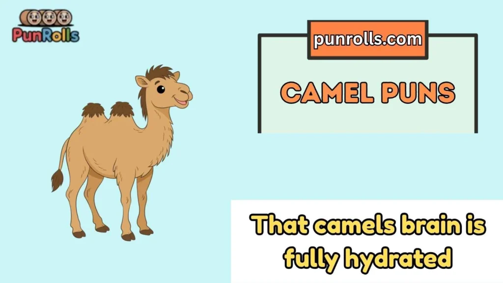 Camel Puns
