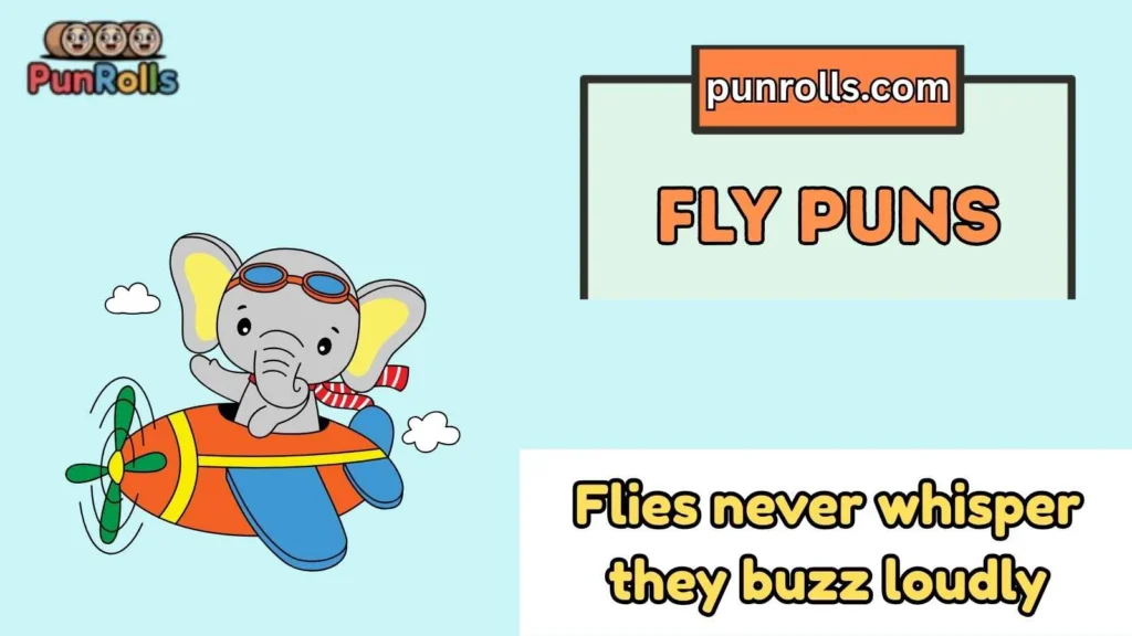 Fly Puns