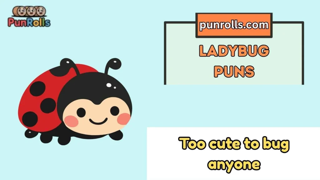 Ladybug Puns