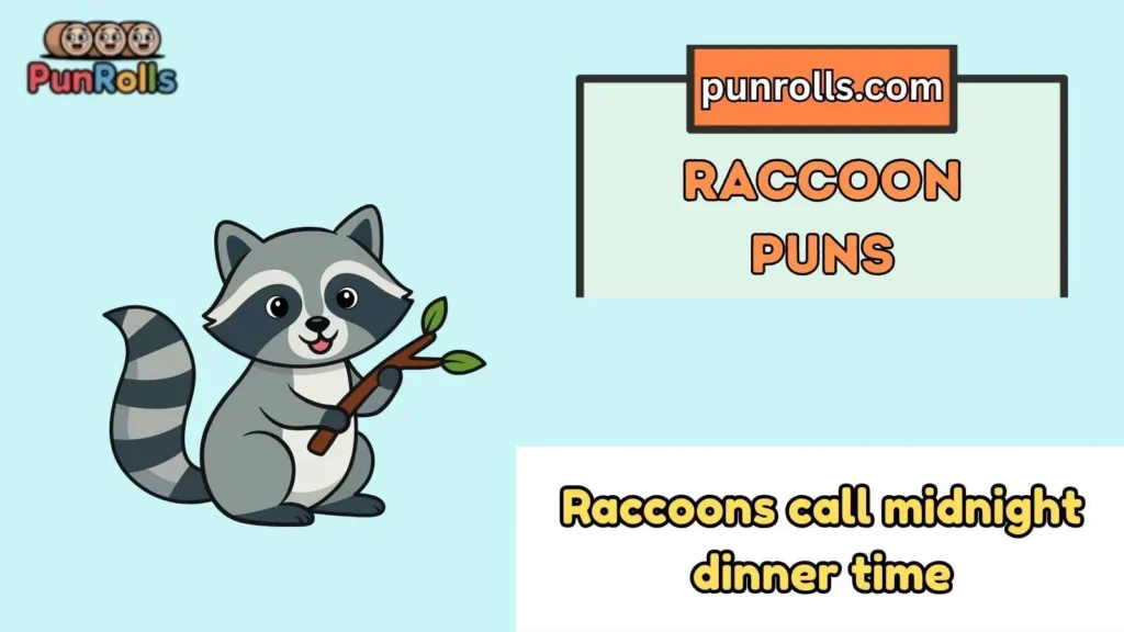 Raccoon Puns