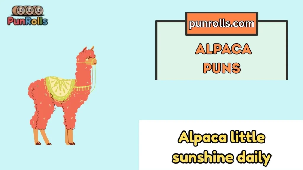 Alpaca Puns One Liners