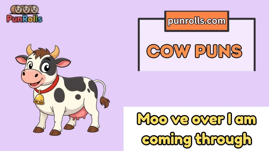 Cow Puns One Liners