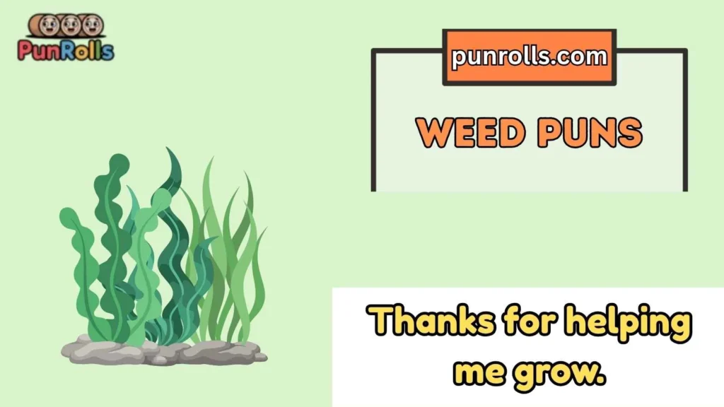 Cute Weed Puns