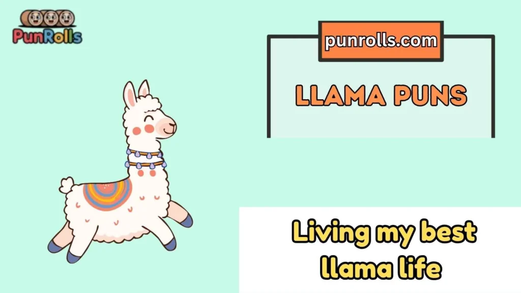 Llama puns captions