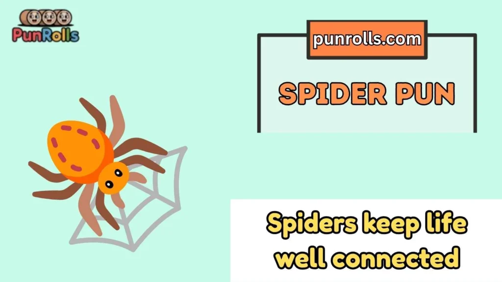 Spider puns one liners