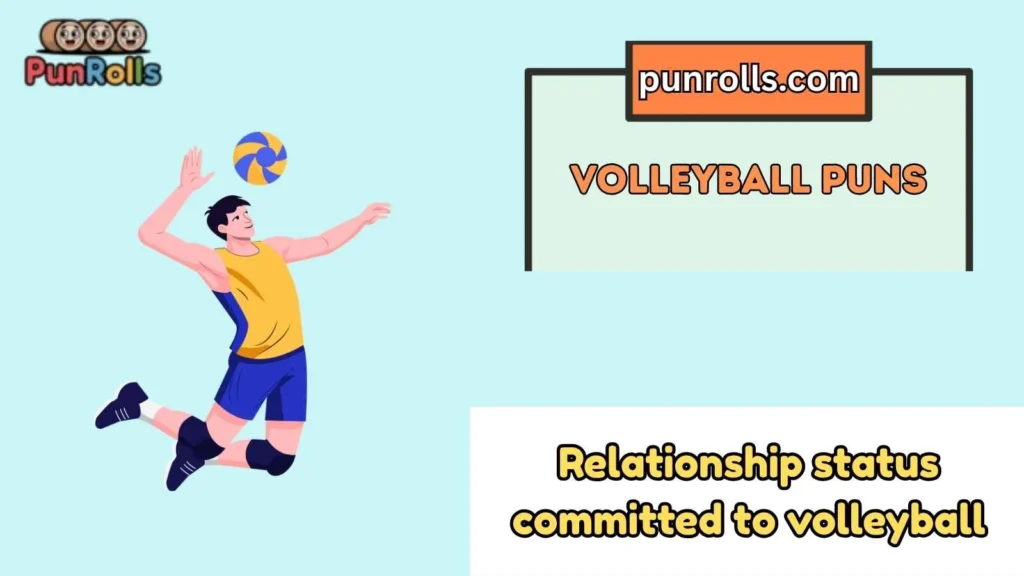 Volleyball puns reddit
