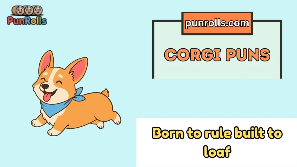 Corgi Puns
