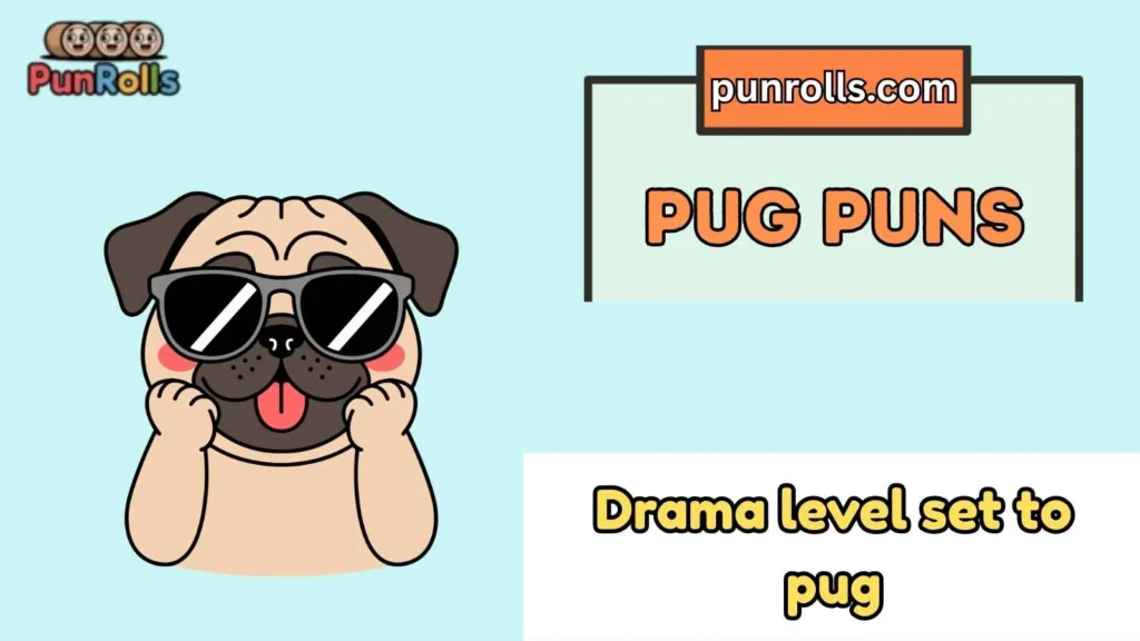 Pug Puns