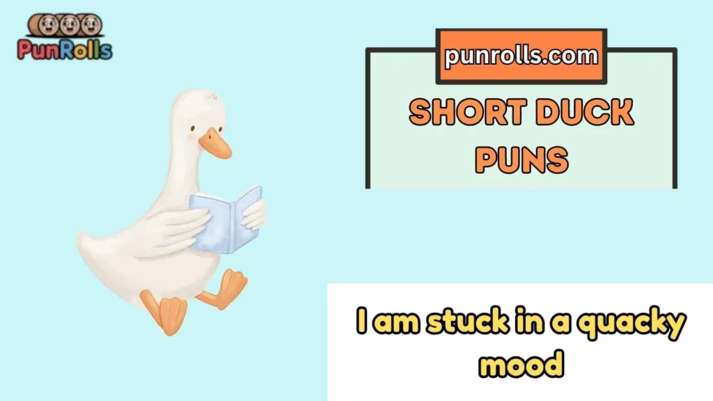 short duck puns