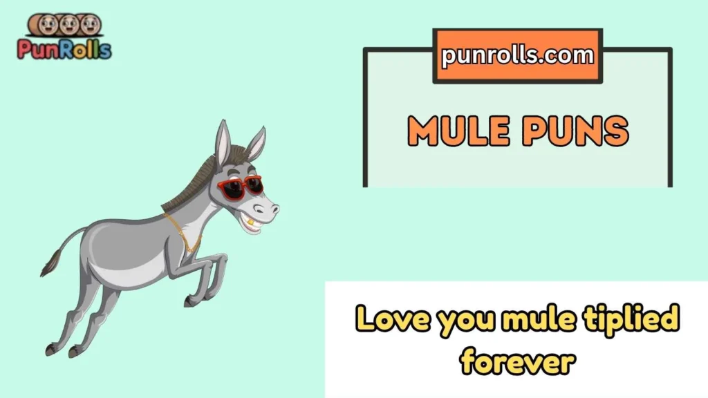 mule puns